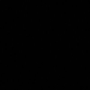 Meet your Posher, Bailey